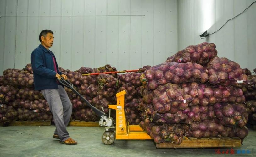 海口市菜篮子江楠农产品批发市场冷库内,工作人员正在搬运农产品
